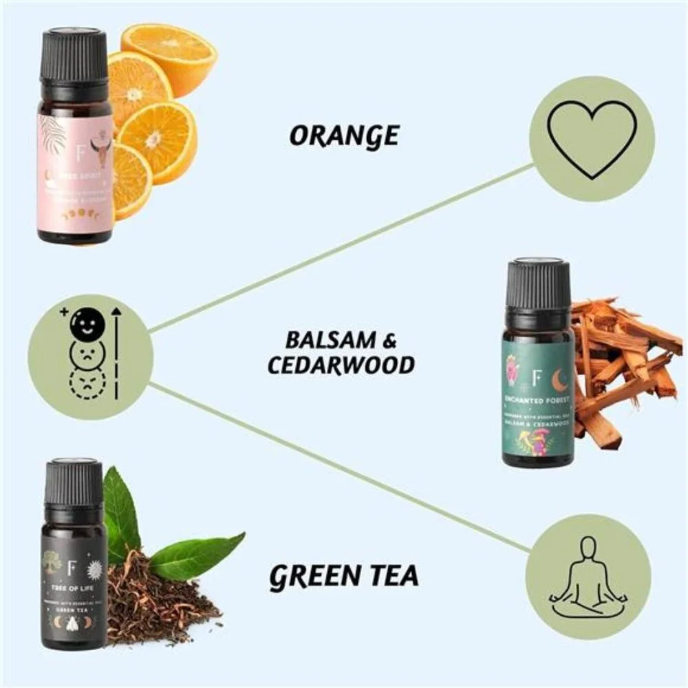 Fall Essential Oils for Diffuser Oil, Essential Oils Set of 6 Fragrance Oil